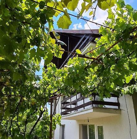 Appartement Cazare Vila Maria à Curtea de Argeş Extérieur photo