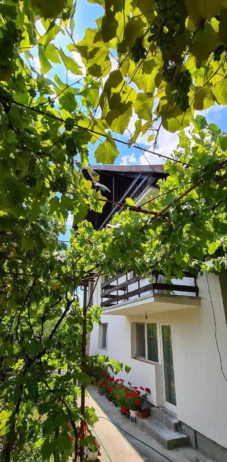 Appartement Cazare Vila Maria à Curtea de Argeş Extérieur photo