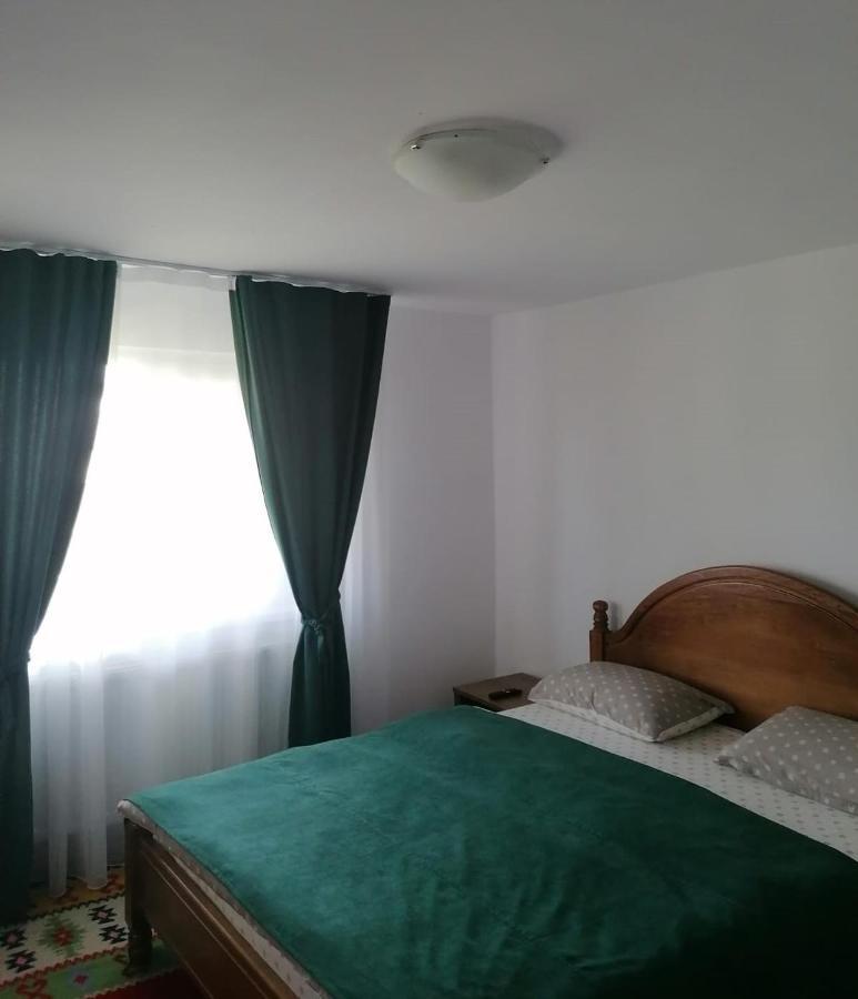 Appartement Cazare Vila Maria à Curtea de Argeş Extérieur photo