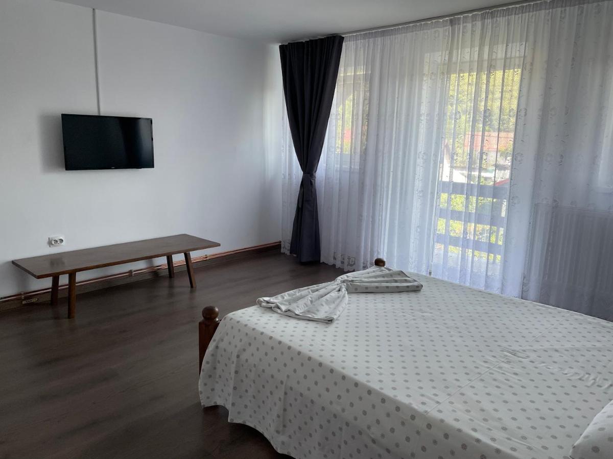 Appartement Cazare Vila Maria à Curtea de Argeş Extérieur photo