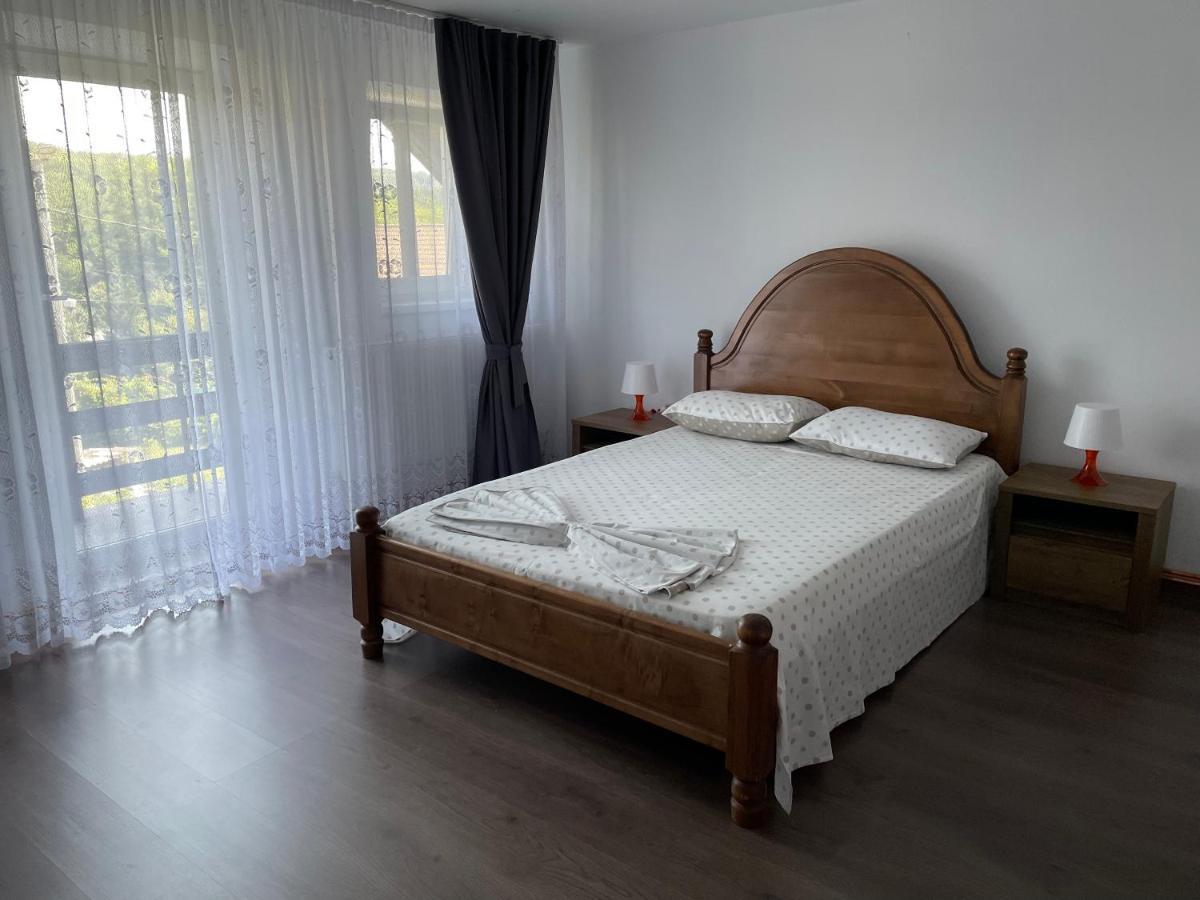 Appartement Cazare Vila Maria à Curtea de Argeş Extérieur photo