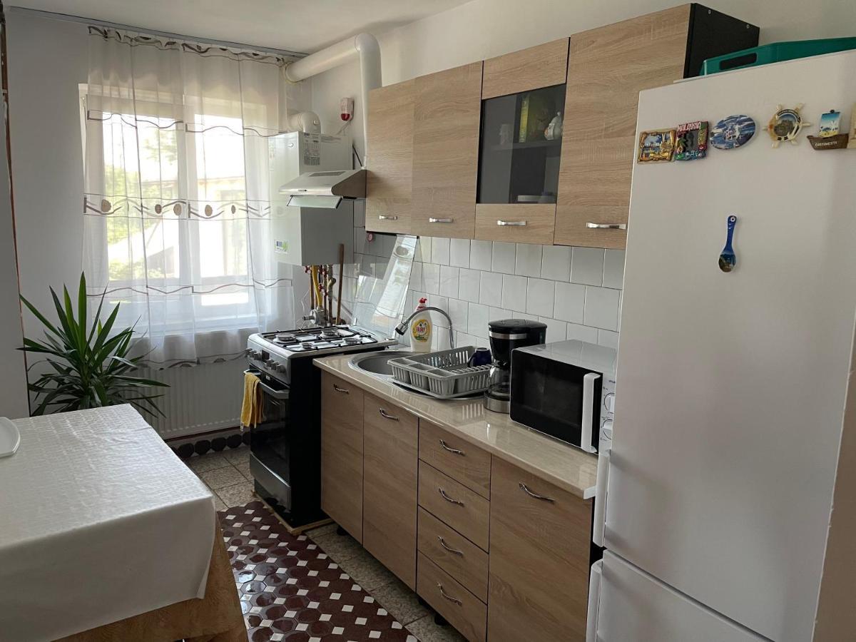 Appartement Cazare Vila Maria à Curtea de Argeş Extérieur photo