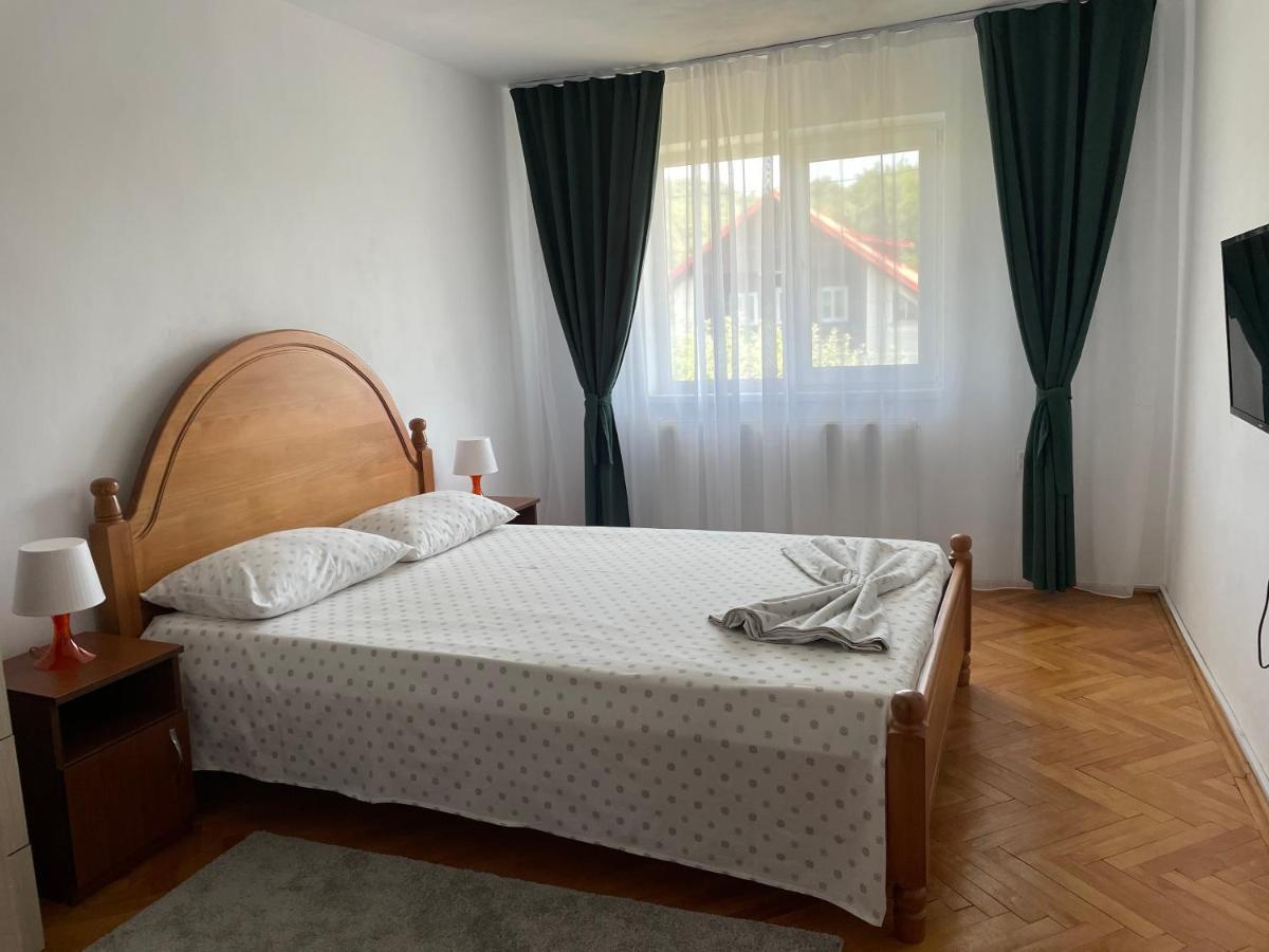 Appartement Cazare Vila Maria à Curtea de Argeş Extérieur photo